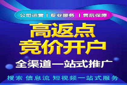 SEM代运营公司案例分析报告